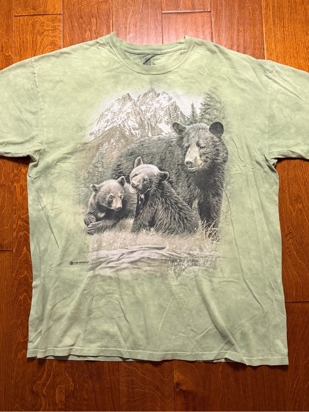 Y2K sage green oversized tee w bear graphic